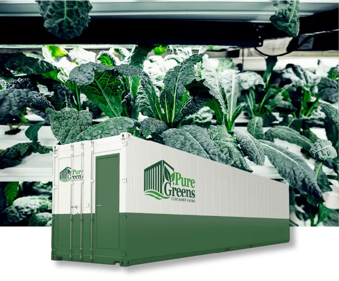 Pure Greens: Container Farms Built by Experts