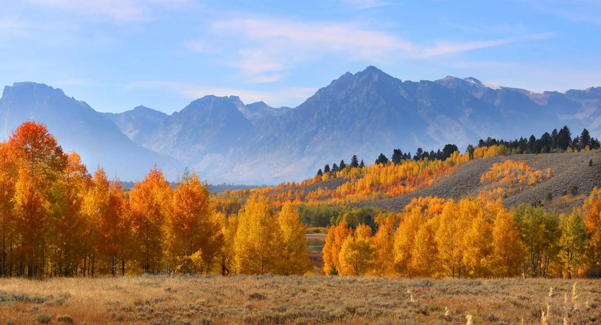 LandLeader: The National Leader in Land Marketing